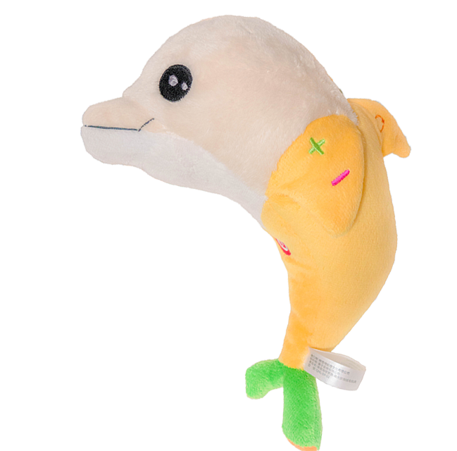 Dolphin