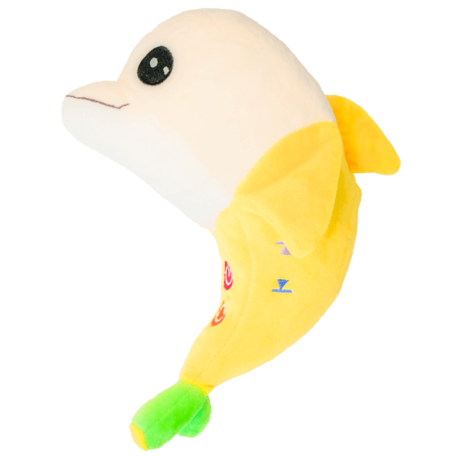 Dolphin